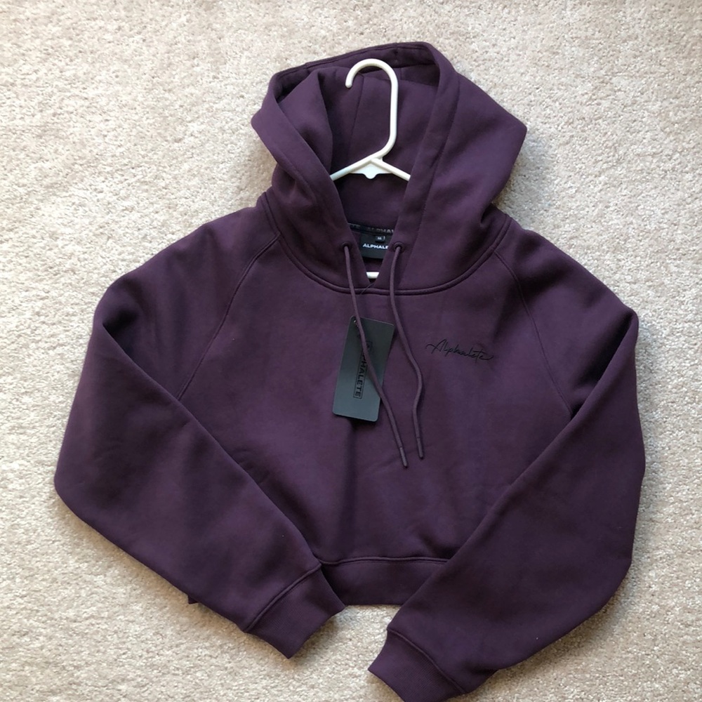 Alphalete cropped hoodie